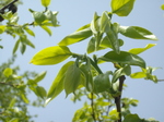 IMGP0213.JPG